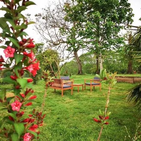 Duplex 2 Avec Jardin 15 Mn De Bayonne A